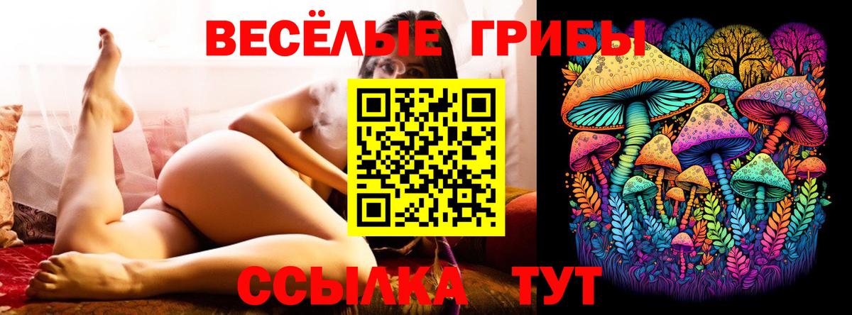 Галлюциногенные грибы GOLDEN TEACHER Оренбург