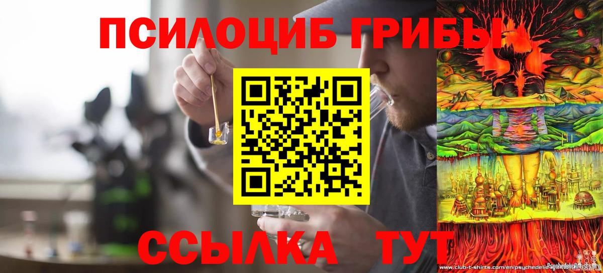 Псилоцибиновые грибы мицелий  Вход с VPN  Оренбург 